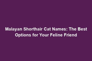 Malayan Shorthair Cat Names: The Best Options for Your Feline Friend