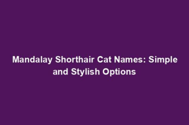 Mandalay Shorthair Cat Names: Simple and Stylish Options