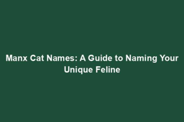 Manx Cat Names: A Guide to Naming Your Unique Feline