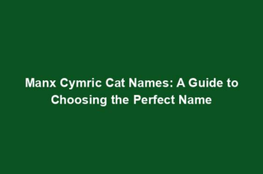 Manx Cymric Cat Names: A Guide to Choosing the Perfect Name