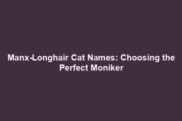 Manx-Longhair Cat Names: Choosing the Perfect Moniker