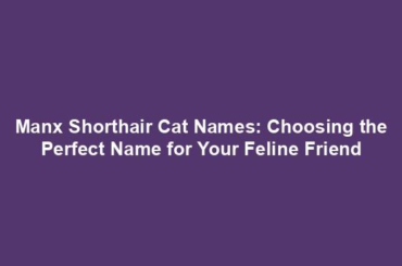 Manx Shorthair Cat Names: Choosing the Perfect Name for Your Feline Friend