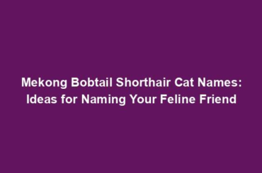 Mekong Bobtail Shorthair Cat Names: Ideas for Naming Your Feline Friend