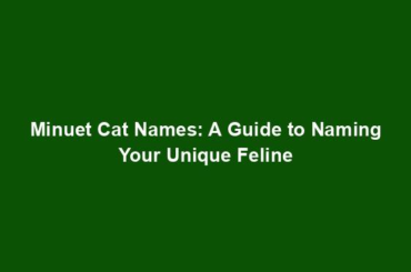 Minuet Cat Names: A Guide to Naming Your Unique Feline