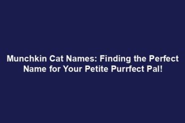 Munchkin Cat Names: Finding the Perfect Name for Your Petite Purrfect Pal!