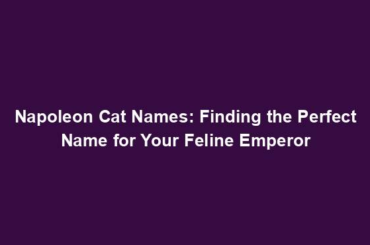 Napoleon Cat Names: Finding the Perfect Name for Your Feline Emperor