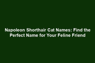 Napoleon Shorthair Cat Names: Find the Perfect Name for Your Feline Friend