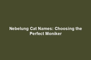 Nebelung Cat Names: Choosing the Perfect Moniker