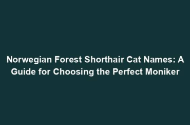 Norwegian Forest Shorthair Cat Names: A Guide for Choosing the Perfect Moniker