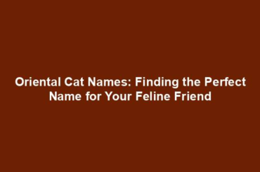 Oriental Cat Names: Finding the Perfect Name for Your Feline Friend