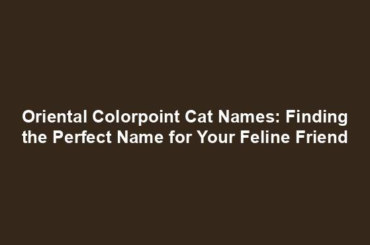 Oriental Colorpoint Cat Names: Finding the Perfect Name for Your Feline Friend