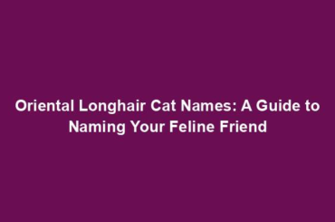 Oriental Longhair Cat Names: A Guide to Naming Your Feline Friend