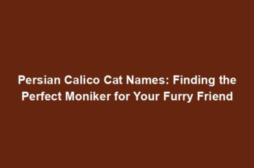 Persian Calico Cat Names: Finding the Perfect Moniker for Your Furry Friend