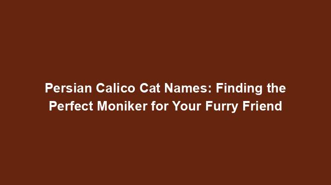 Persian Calico Cat Names: Finding the Perfect Moniker for Your Furry