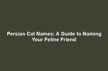 Persian Cat Names: A Guide to Naming Your Feline Friend