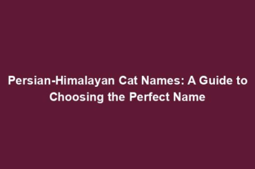 Persian-Himalayan Cat Names: A Guide to Choosing the Perfect Name