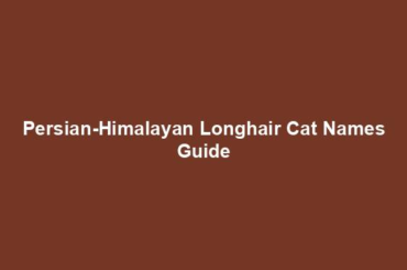 Persian-Himalayan Longhair Cat Names Guide