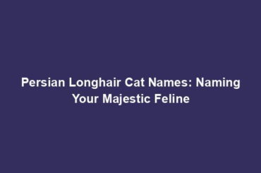 Persian Longhair Cat Names: Naming Your Majestic Feline