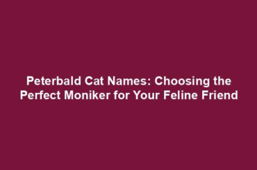 Peterbald Cat Names: Choosing the Perfect Moniker for Your Feline Friend