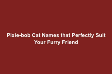 Pixie-bob Cat Names that Perfectly Suit Your Furry Friend