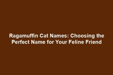 Ragamuffin Cat Names: Choosing the Perfect Name for Your Feline Friend