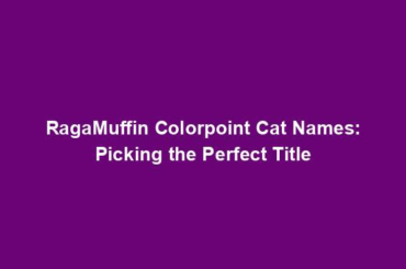 RagaMuffin Colorpoint Cat Names: Picking the Perfect Title