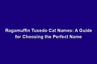 Ragamuffin Tuxedo Cat Names: A Guide for Choosing the Perfect Name