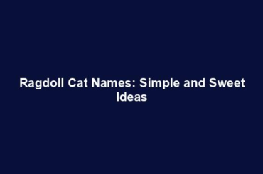 Ragdoll Cat Names: Simple and Sweet Ideas