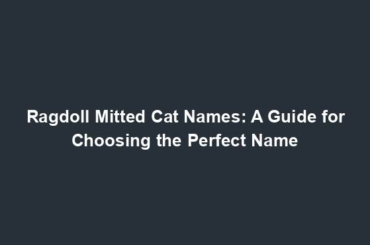 Ragdoll Mitted Cat Names: A Guide for Choosing the Perfect Name