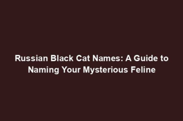 Russian Black Cat Names: A Guide to Naming Your Mysterious Feline