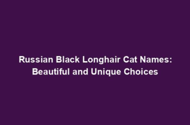 Russian Black Longhair Cat Names: Beautiful and Unique Choices