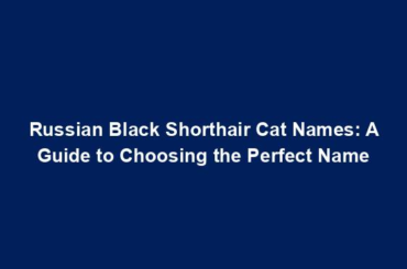 Russian Black Shorthair Cat Names: A Guide to Choosing the Perfect Name