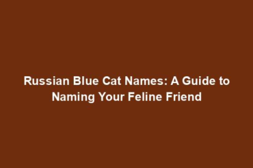 Russian Blue Cat Names: A Guide to Naming Your Feline Friend