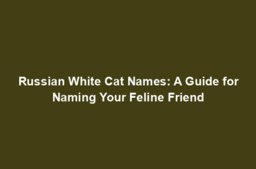 Russian White Cat Names: A Guide for Naming Your Feline Friend