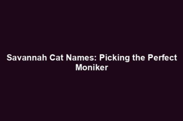 Savannah Cat Names: Picking the Perfect Moniker