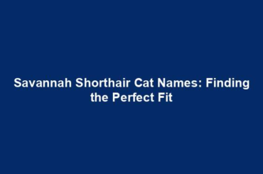 Savannah Shorthair Cat Names: Finding the Perfect Fit