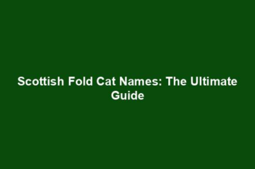 Scottish Fold Cat Names: The Ultimate Guide