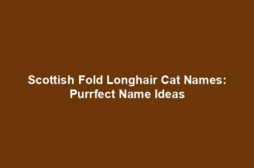 Scottish Fold Longhair Cat Names: Purrfect Name Ideas