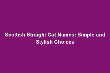 Scottish Straight Cat Names: Simple and Stylish Choices