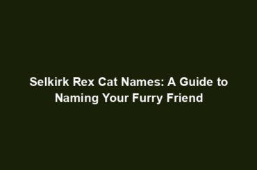 Selkirk Rex Cat Names: A Guide to Naming Your Furry Friend