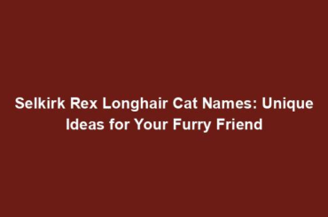 Selkirk Rex Longhair Cat Names: Unique Ideas for Your Furry Friend