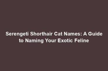 Serengeti Shorthair Cat Names: A Guide to Naming Your Exotic Feline