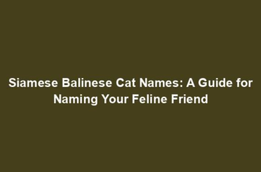 Siamese Balinese Cat Names: A Guide for Naming Your Feline Friend