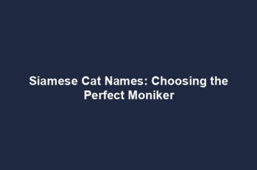 Siamese Cat Names: Choosing the Perfect Moniker