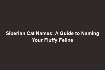 Siberian Cat Names: A Guide to Naming Your Fluffy Feline