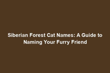 Siberian Forest Cat Names: A Guide to Naming Your Furry Friend