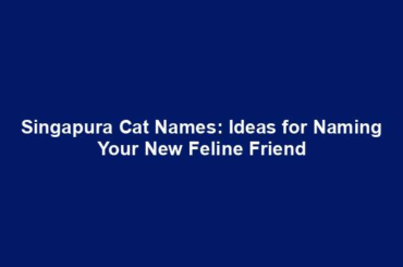 Singapura Cat Names: Ideas for Naming Your New Feline Friend