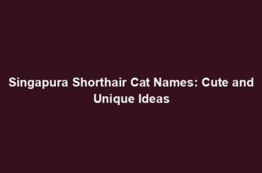 Singapura Shorthair Cat Names: Cute and Unique Ideas