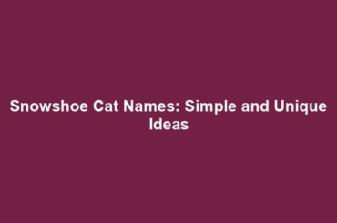 Snowshoe Cat Names: Simple and Unique Ideas