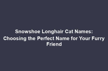 Snowshoe Longhair Cat Names: Choosing the Perfect Name for Your Furry Friend